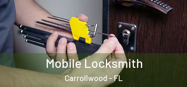 Mobile Locksmith Carrollwood - FL