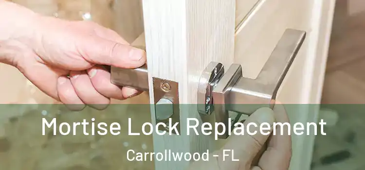  Mortise Lock Replacement Carrollwood - FL