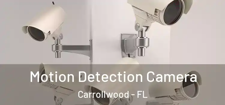  Motion Detection Camera Carrollwood - FL
