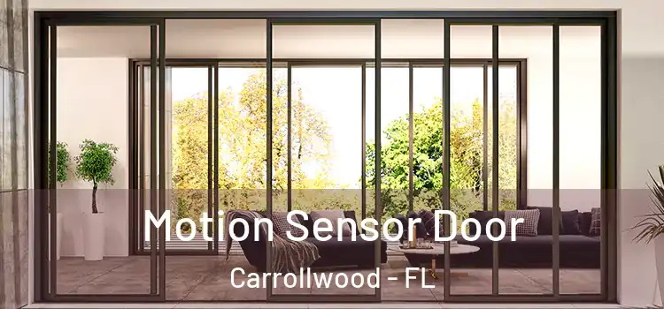 Motion Sensor Door Carrollwood - FL