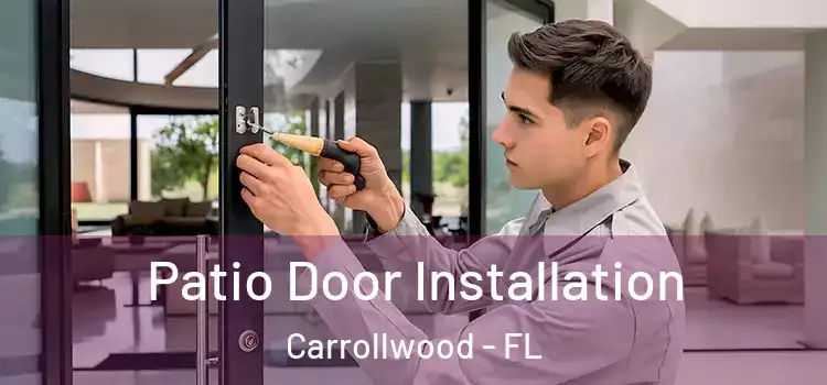  Patio Door Installation Carrollwood - FL
