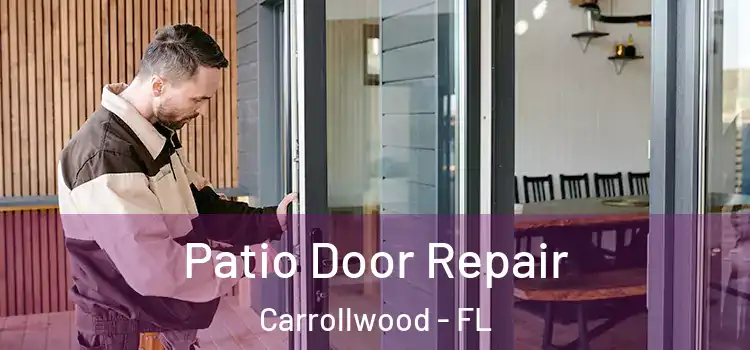  Patio Door Repair Carrollwood - FL