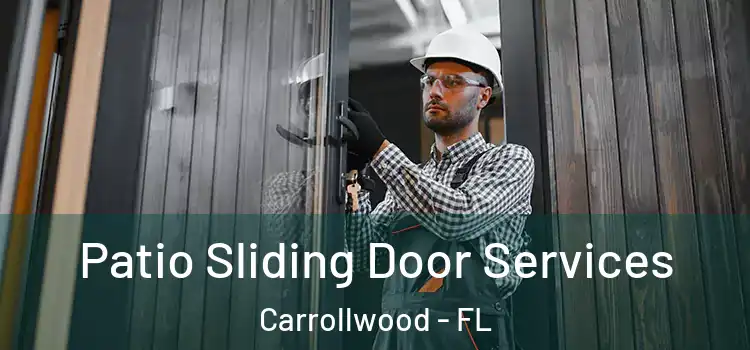  Patio Sliding Door Services Carrollwood - FL
