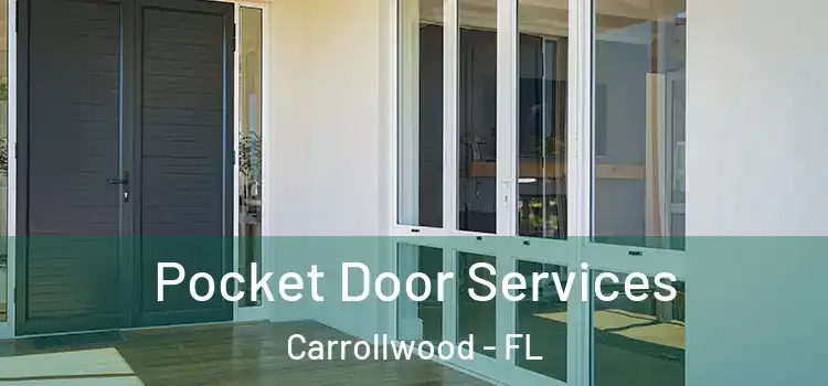  Pocket Door Services Carrollwood - FL