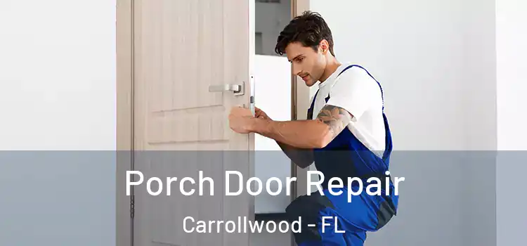  Porch Door Repair Carrollwood - FL