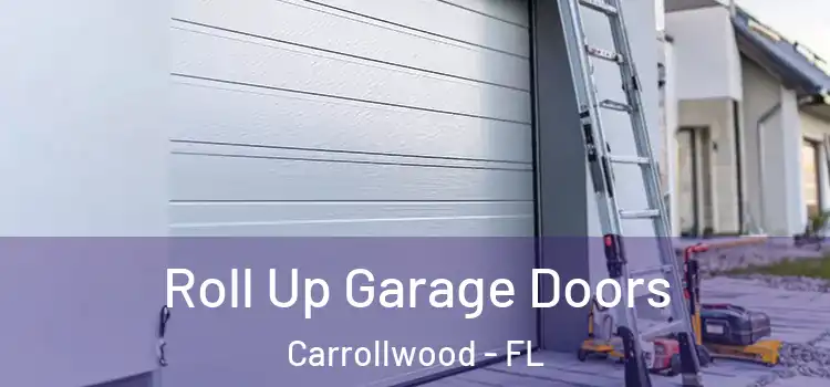  Roll Up Garage Doors Carrollwood - FL