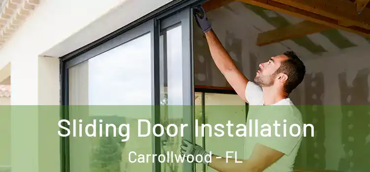  Sliding Door Installation Carrollwood - FL