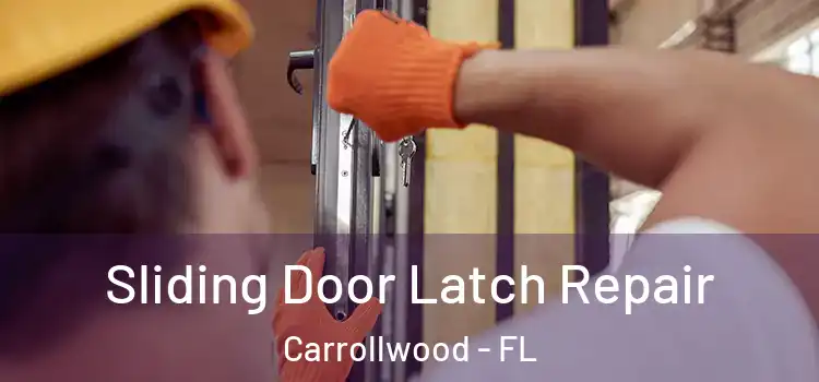  Sliding Door Latch Repair Carrollwood - FL