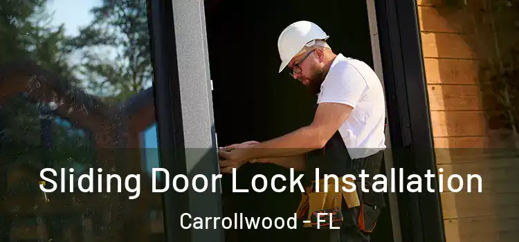  Sliding Door Lock Installation Carrollwood - FL