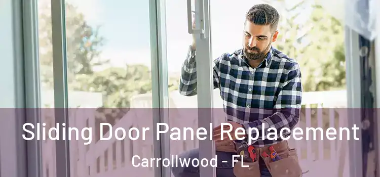  Sliding Door Panel Replacement Carrollwood - FL