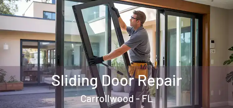  Sliding Door Repair Carrollwood - FL