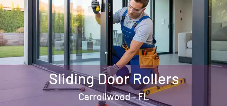  Sliding Door Rollers Carrollwood - FL