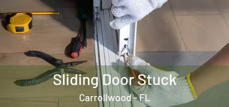  Sliding Door Stuck Carrollwood - FL