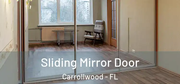  Sliding Mirror Door Carrollwood - FL
