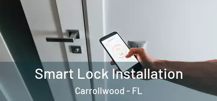  Smart Lock Installation Carrollwood - FL