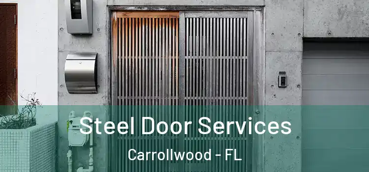  Steel Door Services Carrollwood - FL