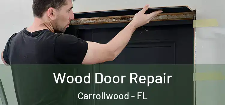  Wood Door Repair Carrollwood - FL