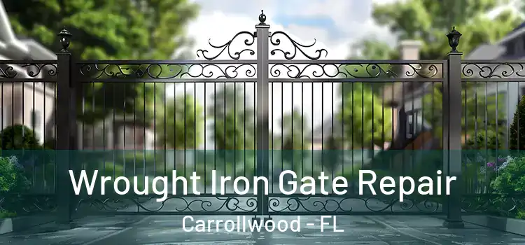  Wrought Iron Gate Repair Carrollwood - FL